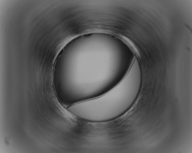 X0000091971244200709061125