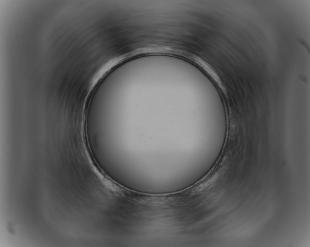 X0000091971245200709061125