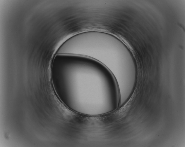 X0000091971246200709061125