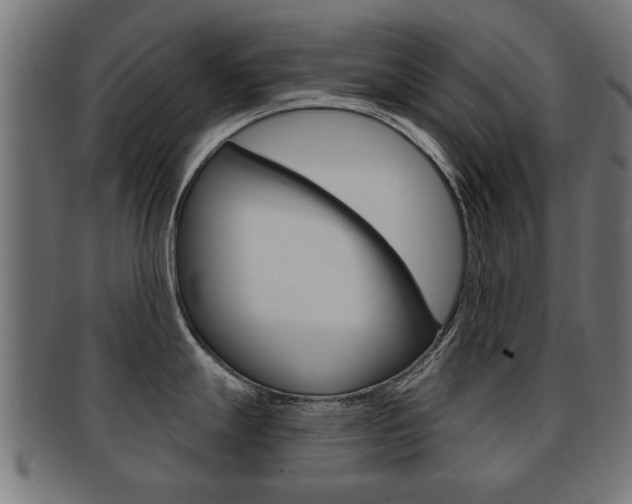 X0000091971247200709061125
