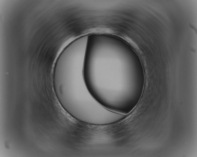 X0000091971248200709061125