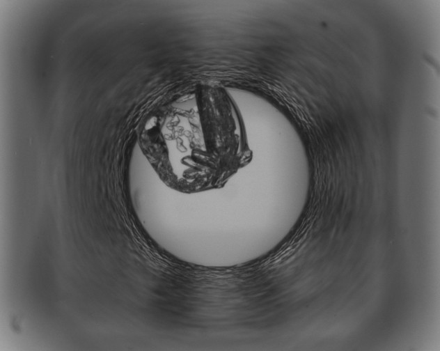 X0000091971249200709061125