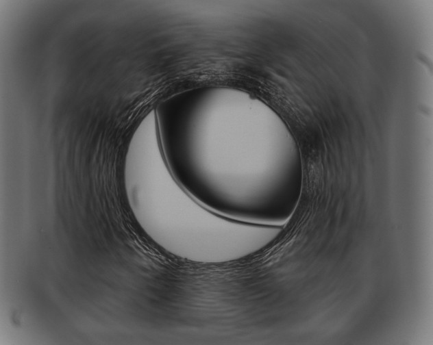 X0000091971250200709061125