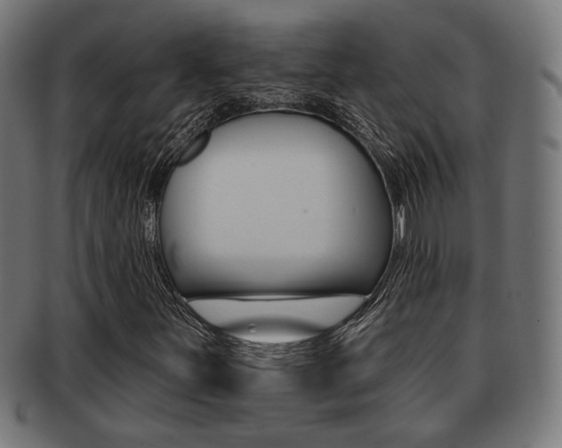 X0000091971251200709061125