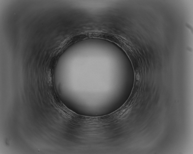 X0000091971252200709061125