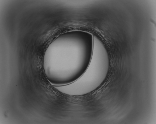 X0000091971253200709061125