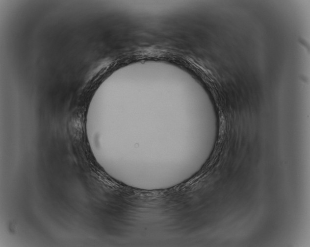 X0000091971254200709061125