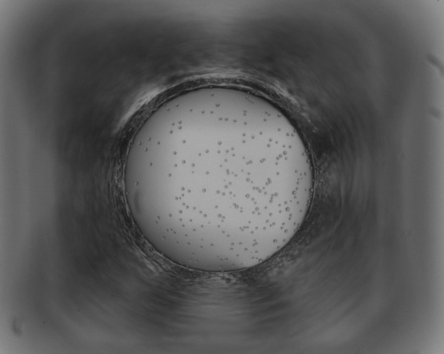 X0000091971255200709061125