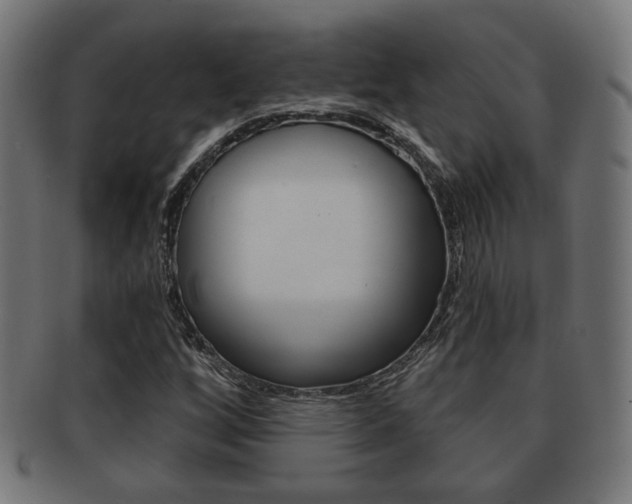 X0000091971256200709061125