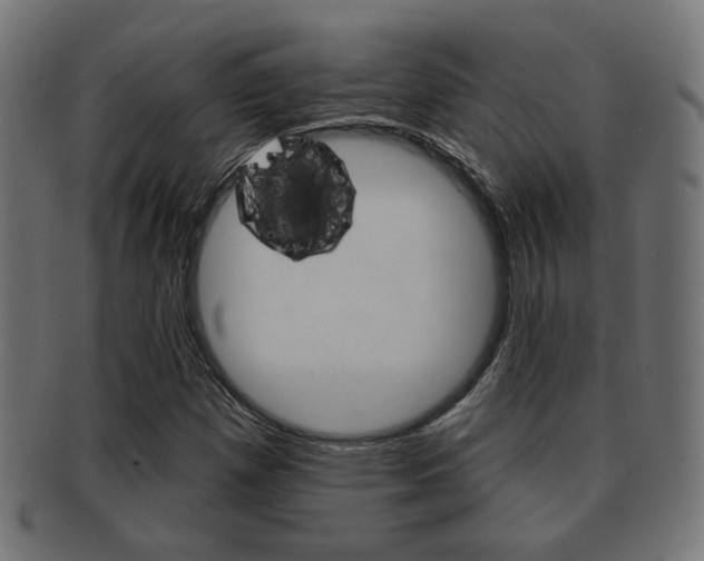 X0000091971257200709061125