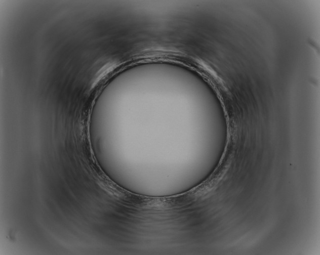 X0000091971259200709061125