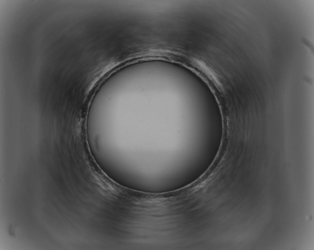 X0000091971260200709061125