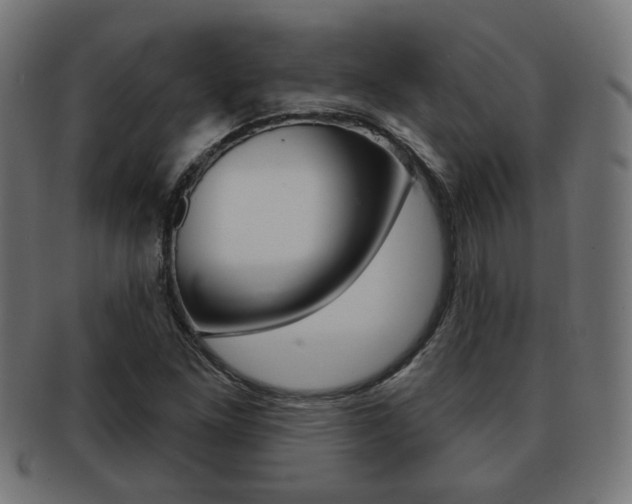 X0000091971261200709061125