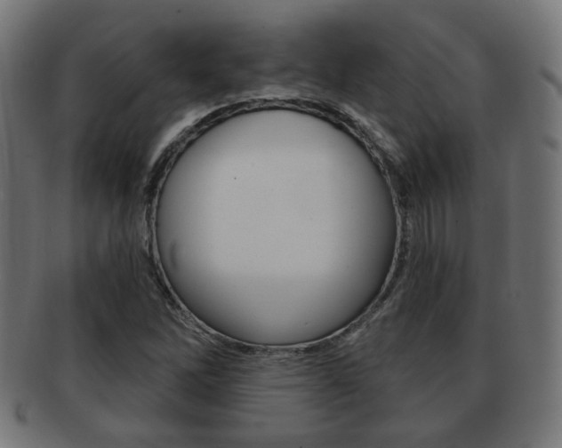X0000091971262200709061125