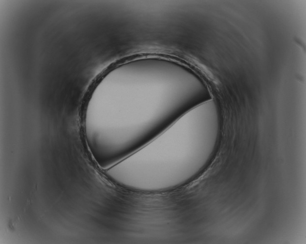 X0000091971264200709061125