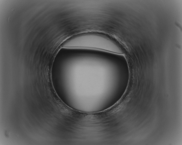X0000091971265200709061124