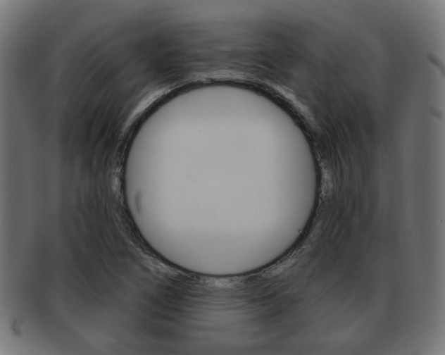 X0000091971266200709061124