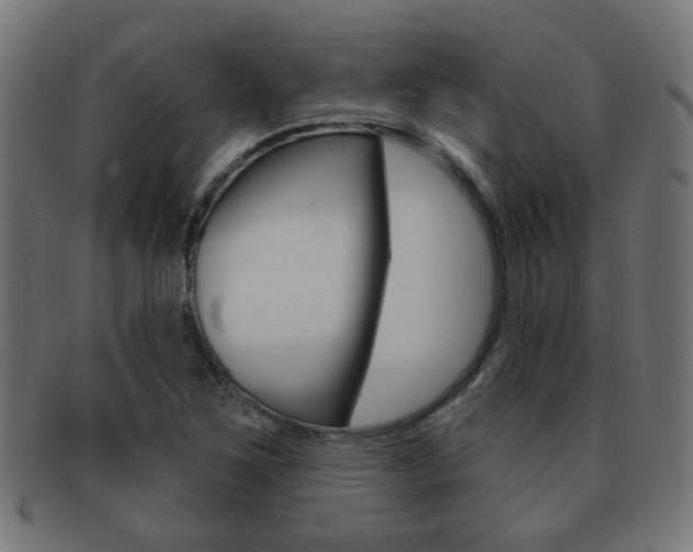 X0000091971267200709061124