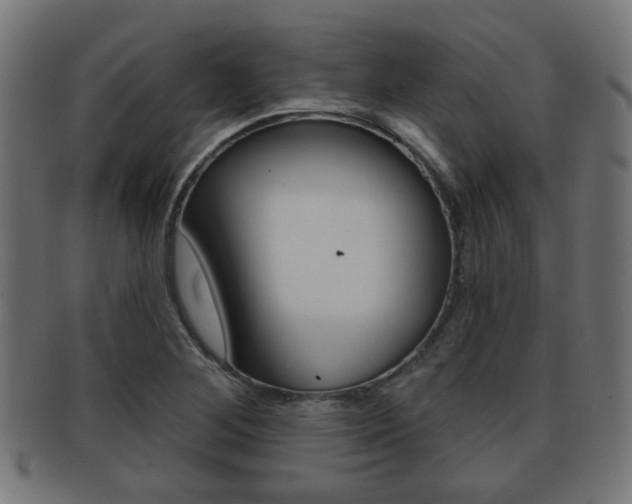 X0000091971268200709061124