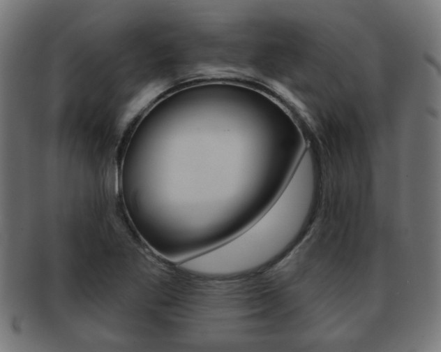 X0000091971269200709061124