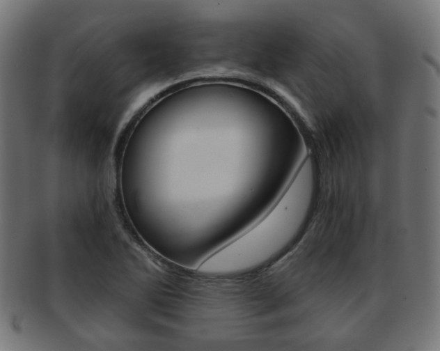 X0000091971270200709061124
