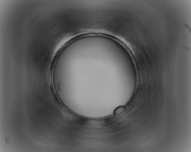 X0000091971271200709061124