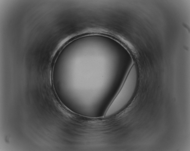 X0000091971272200709061124