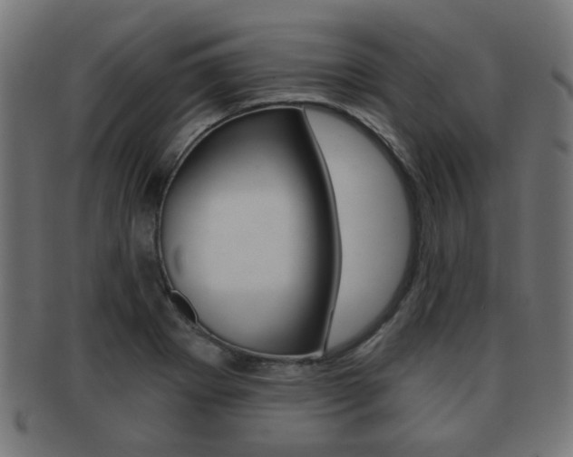 X0000091971273200709061124