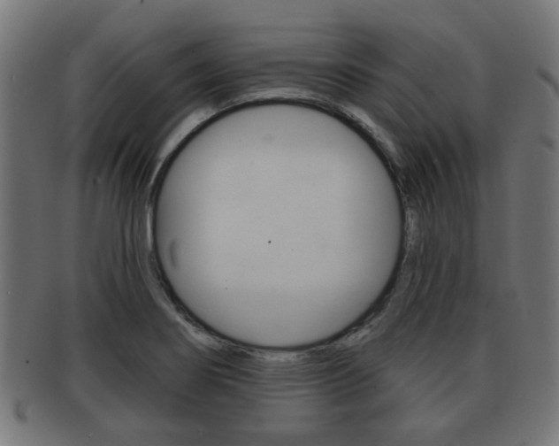 X0000091971274200709061124