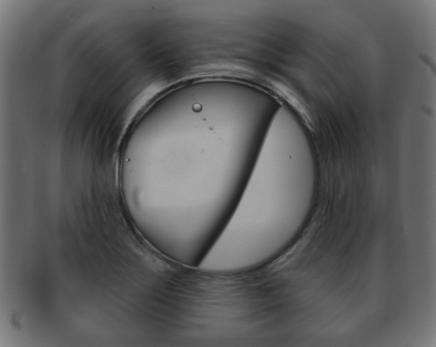 X0000091971275200709061124