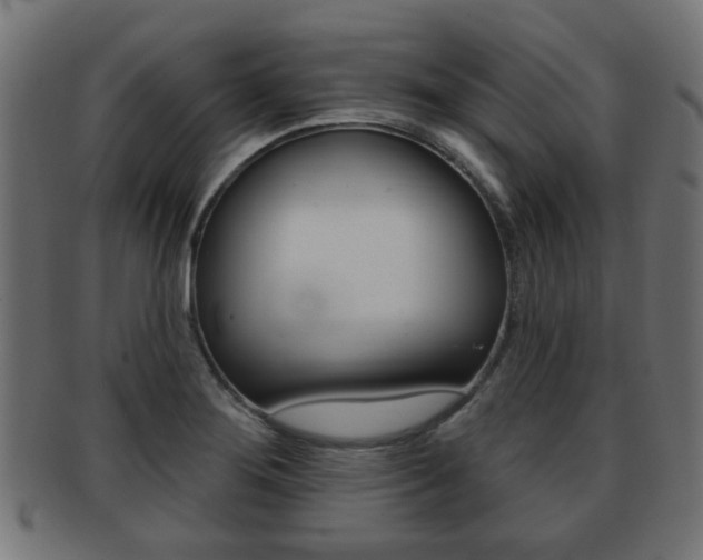 X0000091971276200709061124
