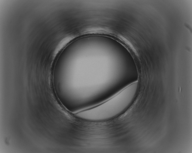 X0000091971277200709061124