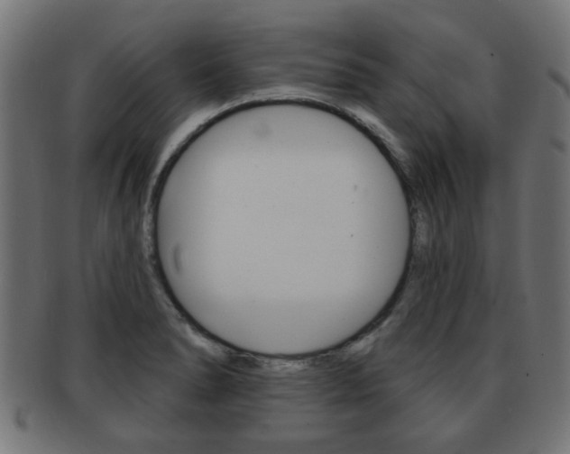X0000091971278200709061124