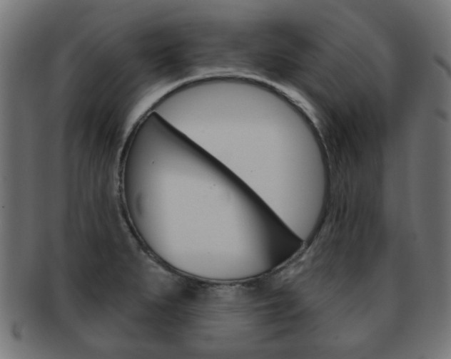 X0000091971279200709061124