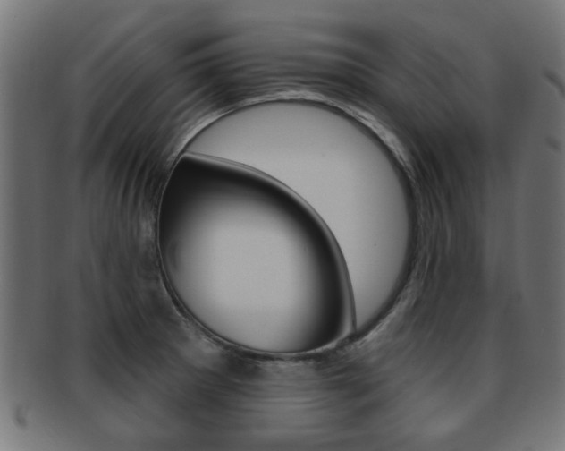 X0000091971281200709061124