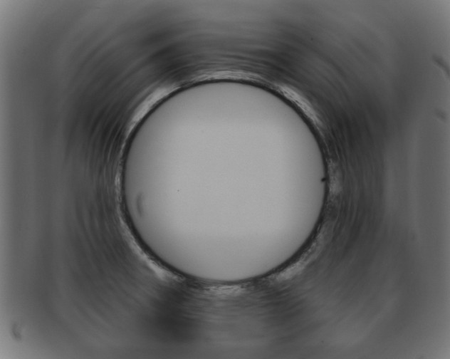 X0000091971282200709061124