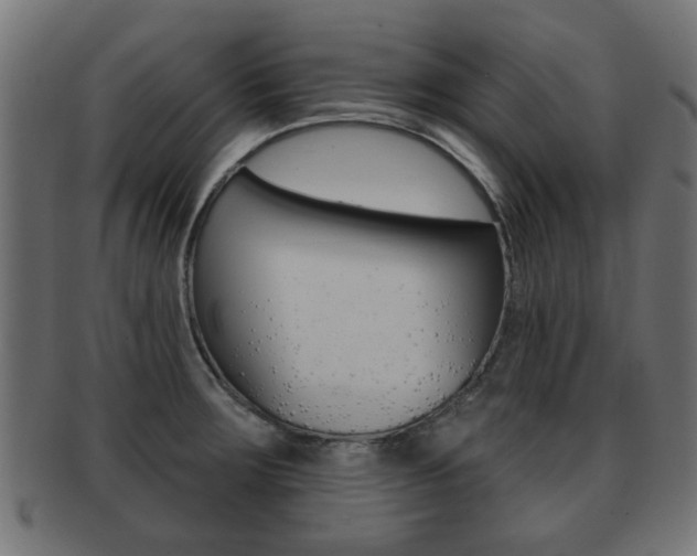 X0000091971283200709061124