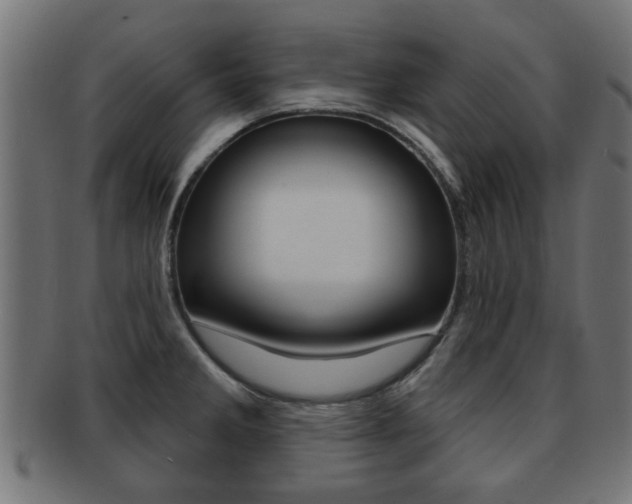 X0000091971285200709061124