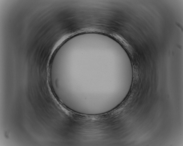 X0000091971286200709061124