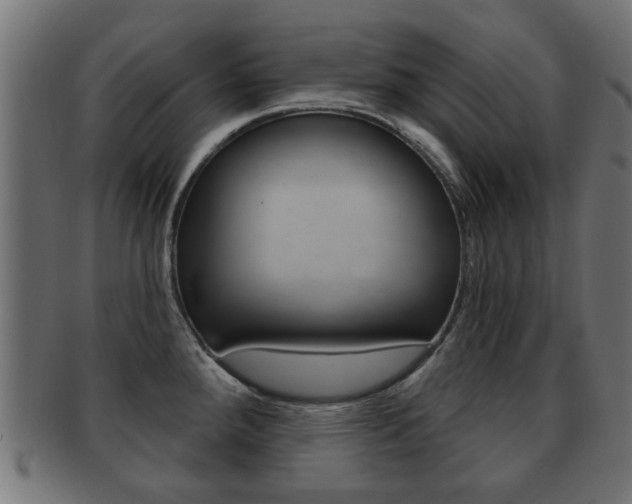 X0000091971288200709061124
