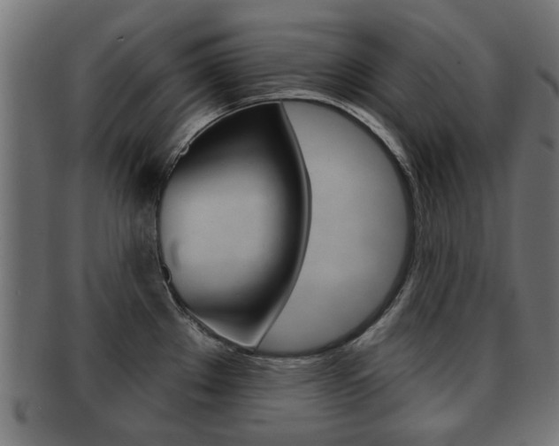 X0000091971289200709061124