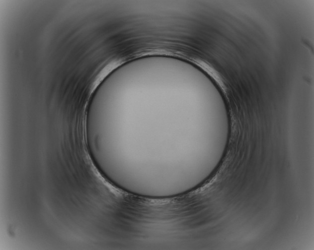 X0000091971290200709061124