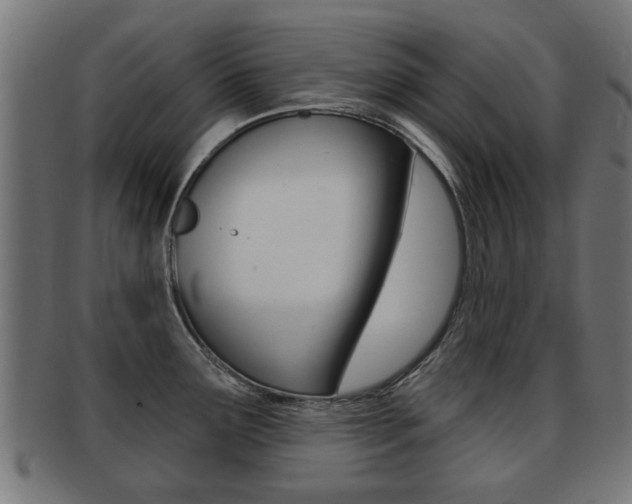 X0000091971291200709061124