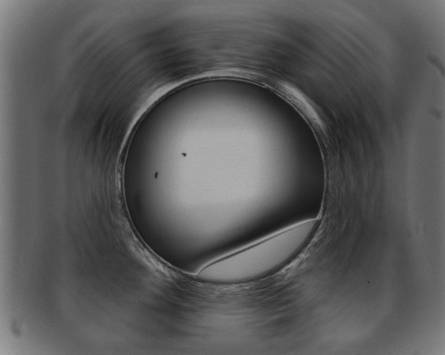 X0000091971292200709061124