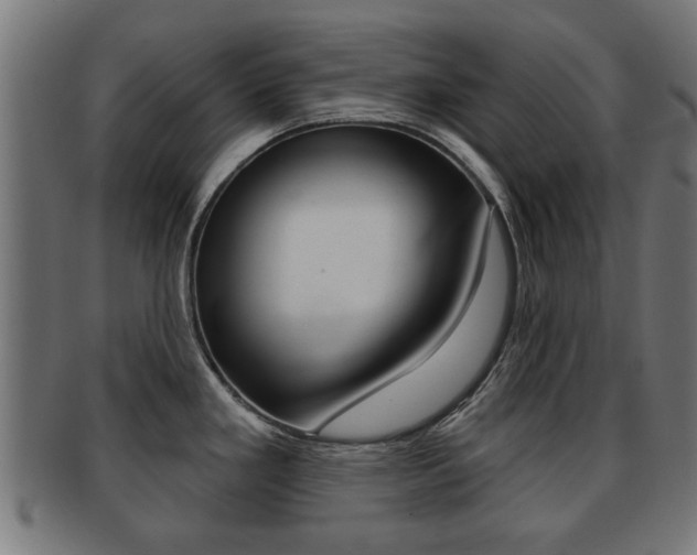 X0000091971293200709061124