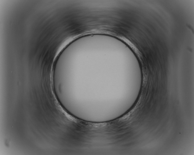X0000091971294200709061124