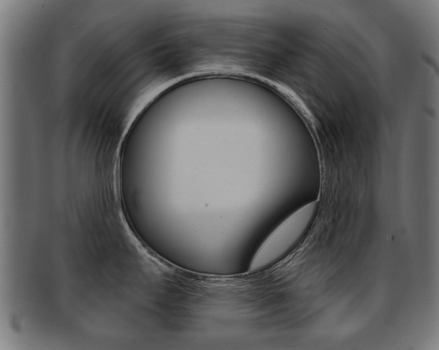 X0000091971295200709061124