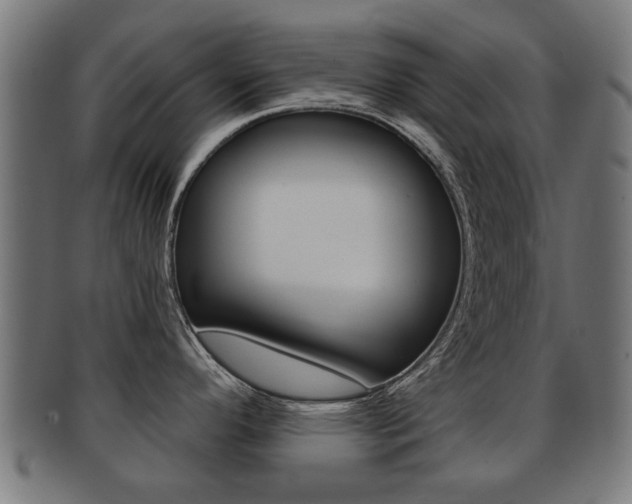 X0000091971296200709061124