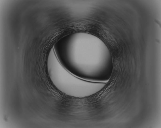 X0000091971297200709061124
