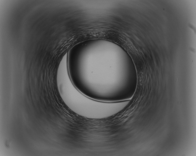 X0000091971298200709061124